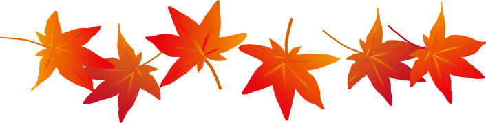 11月